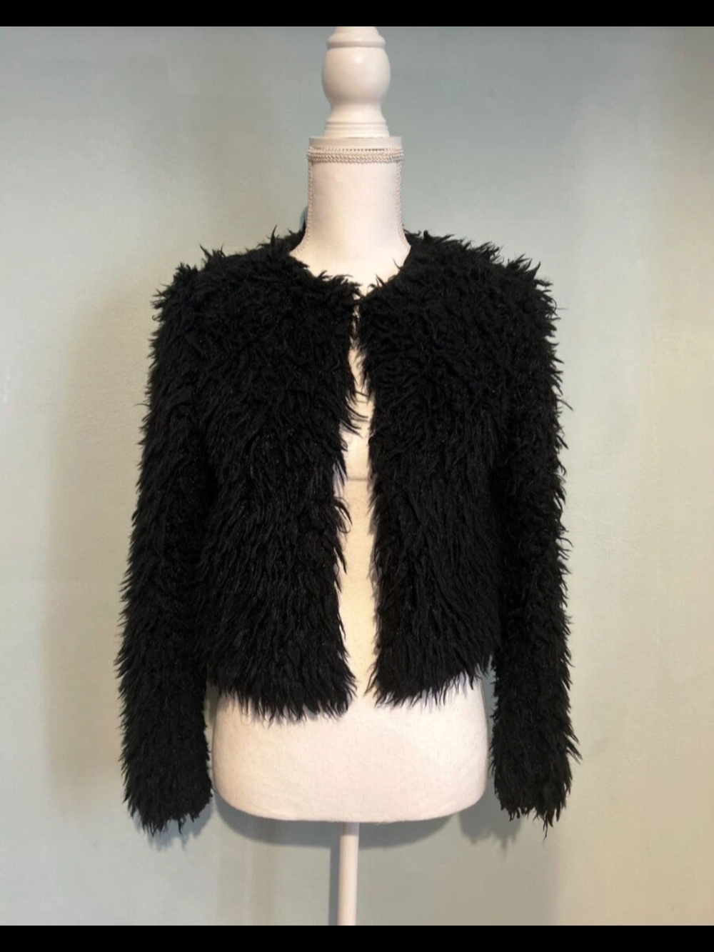 H&M Black Faux Fur Teddy Jacket - Cropped Open Front
